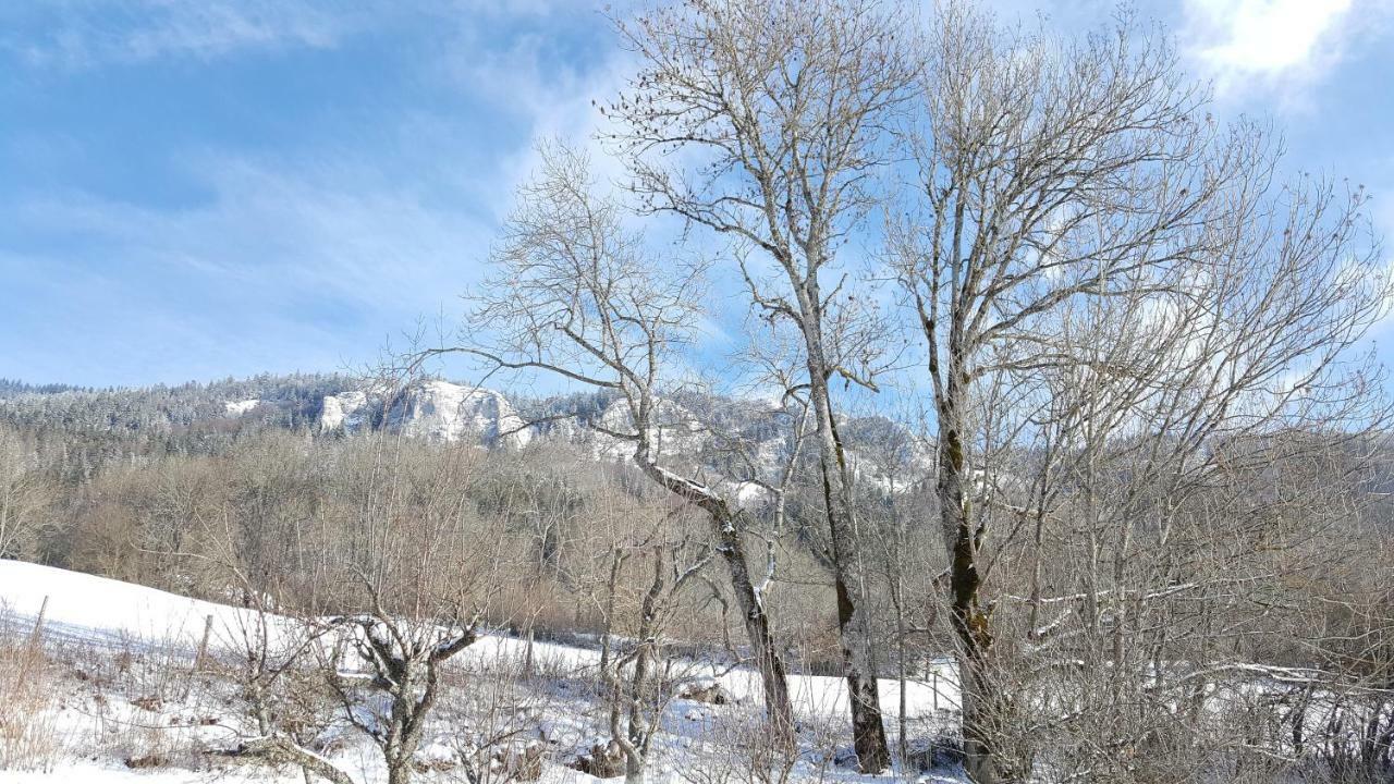 Maison D'Hotes Agathe Et Sophie Lans-en-Vercors Eksteriør billede